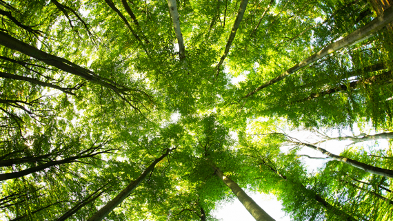 Socotec Certification International Indonesia